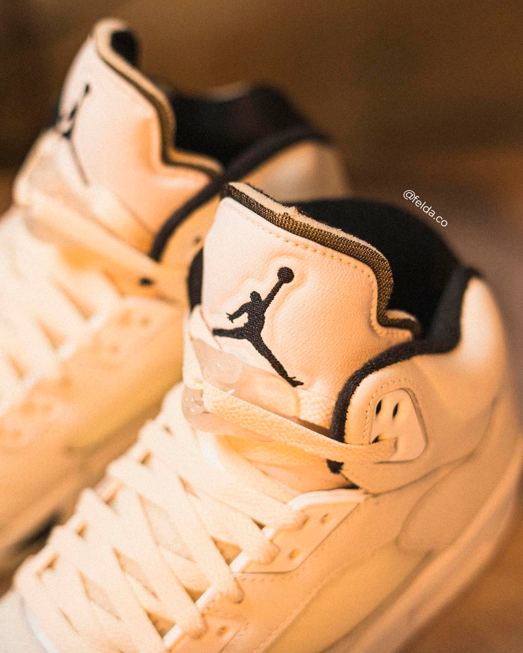 Nike Air Jordan 5 Retro SE