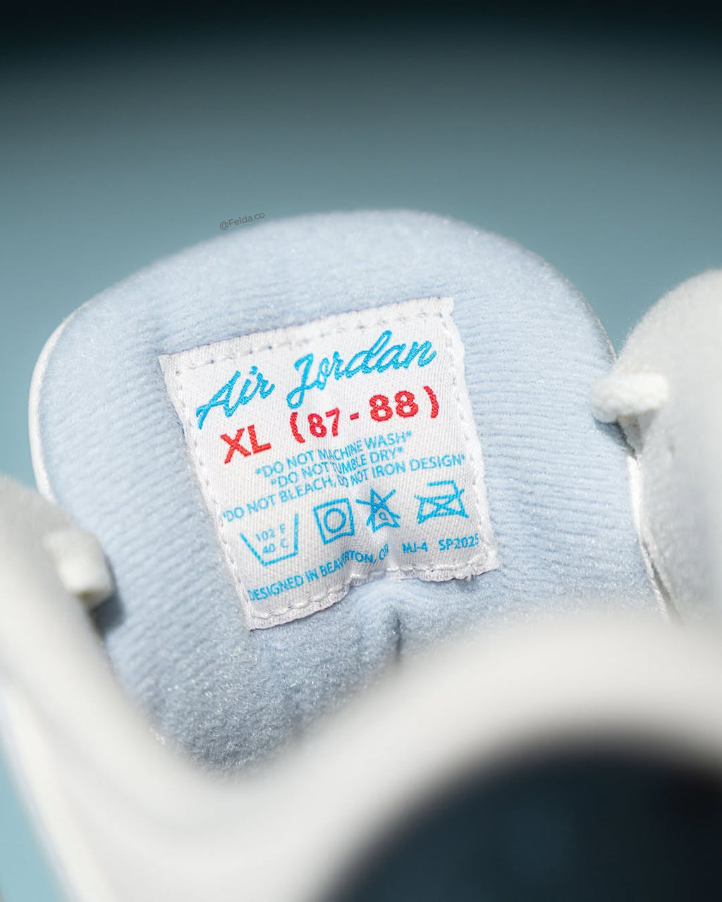 Nike Air Jordan Retro 3 Lucky Shorts