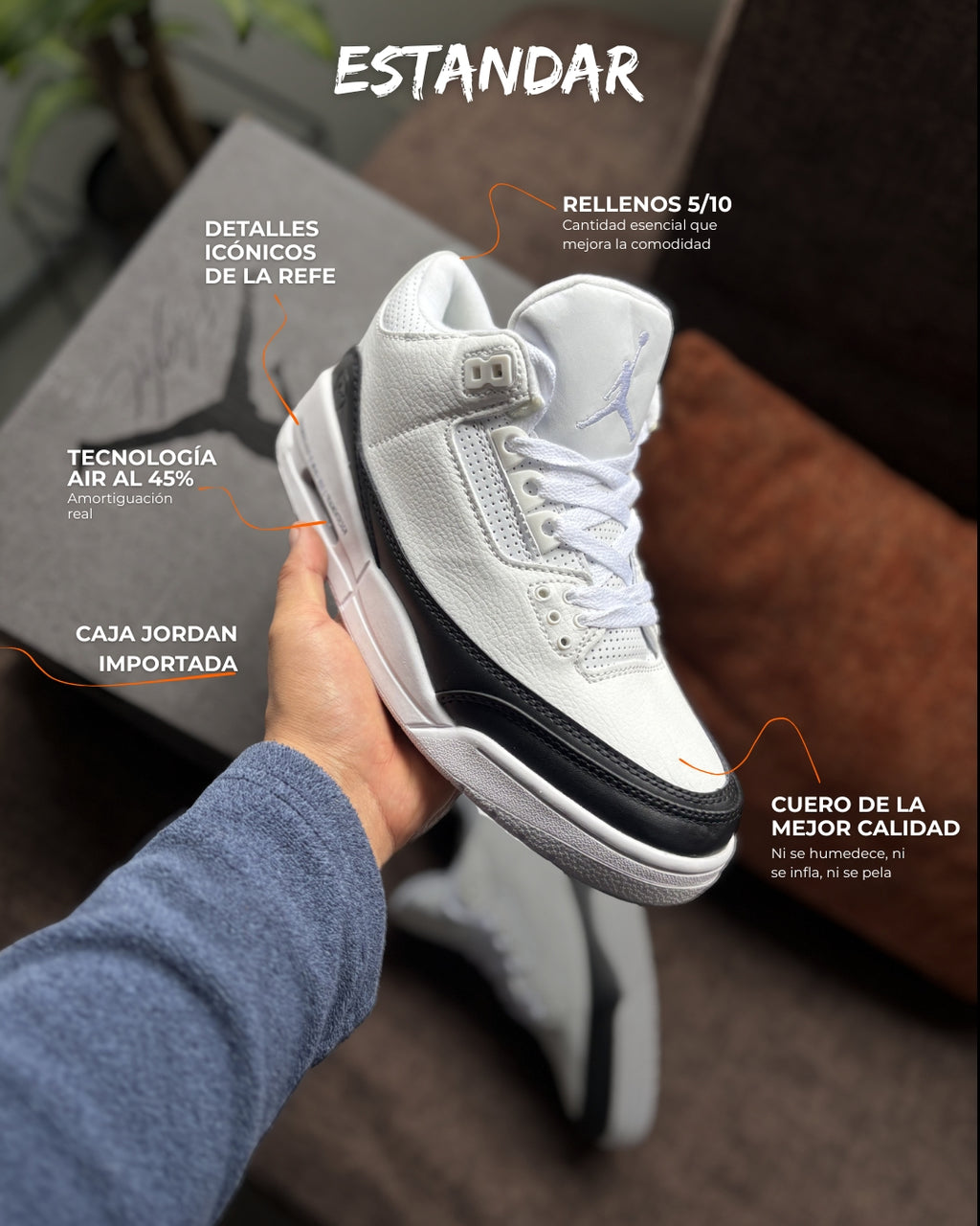 Nike Air Jordan Retro 3 x Fragment
