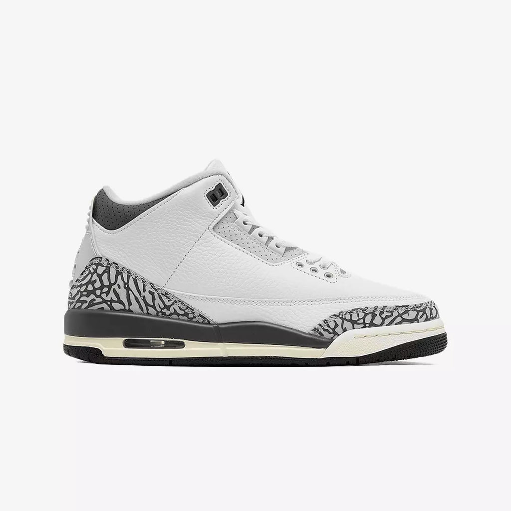 Air Jordan 3 Retro Hide N Sneak