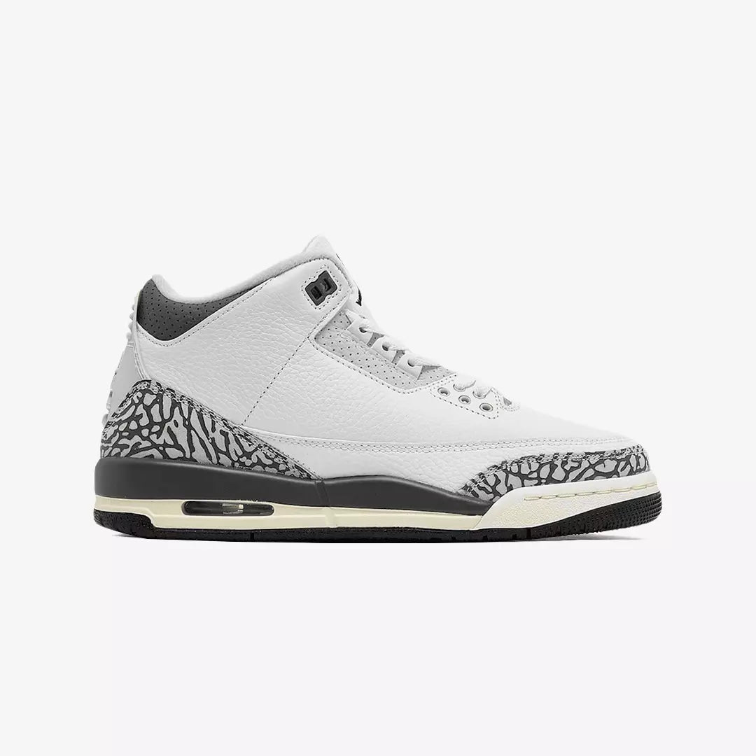 Air Jordan 3 Retro Hide N Sneak