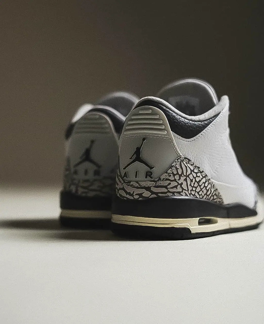 Air Jordan 3 Retro Hide N Sneak