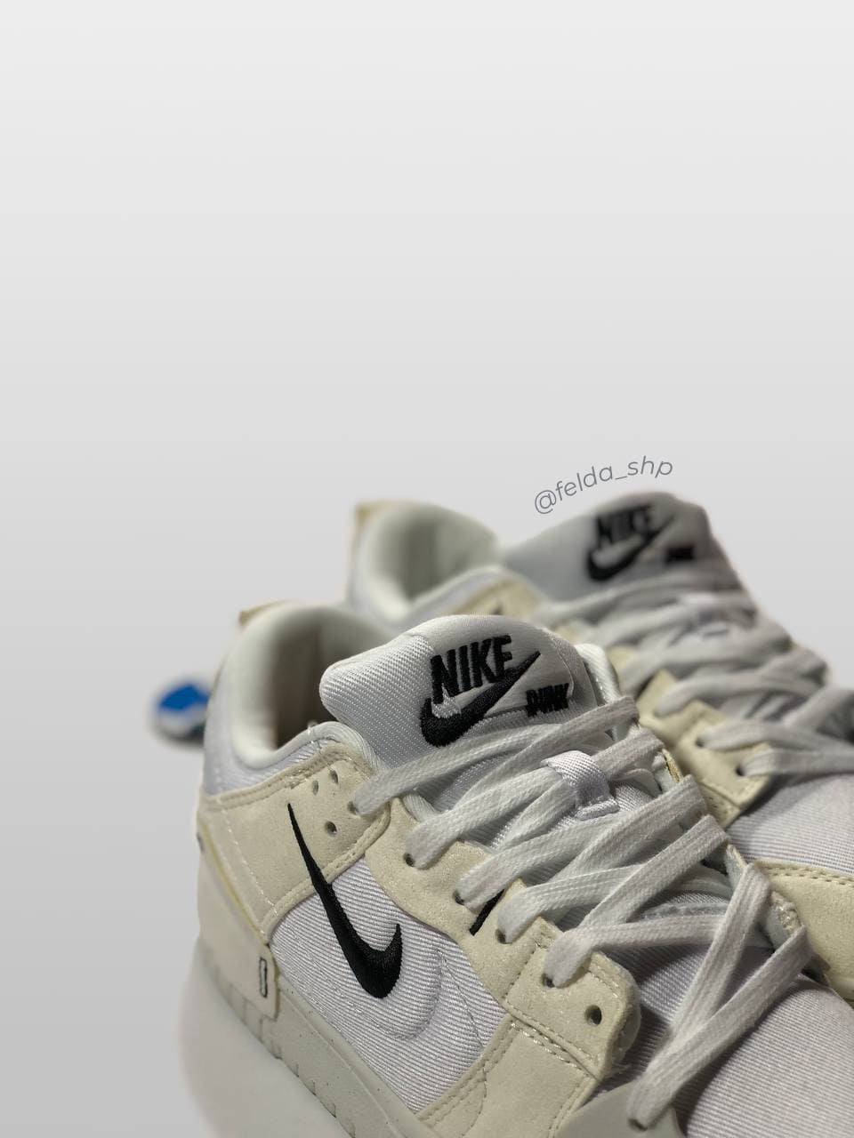 Nike Dunk Disrupt 2