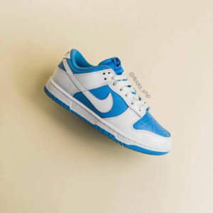 Nike Dunk Low Reverse UNC